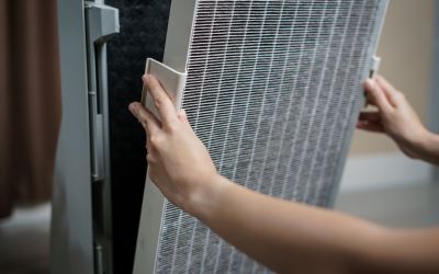 a person removing a house air filter
